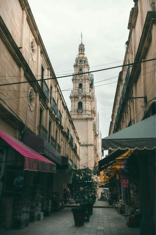 San Juan de los Lagos