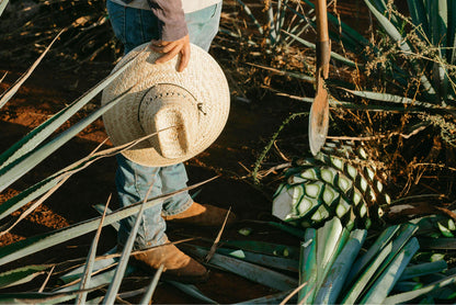 Tequila Jalisco